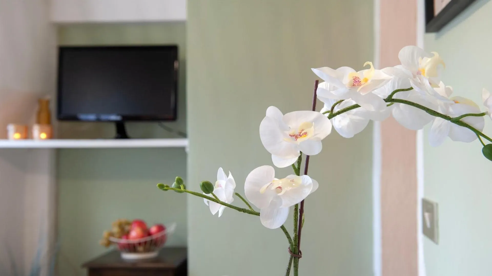 Sweet Pergola - Flo Apartments Florence Italy